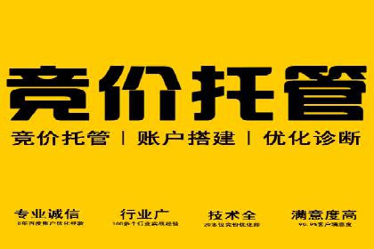 百度推广实战：案例分享与数据解读